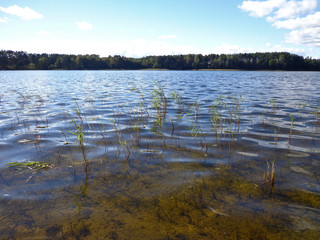 View of the lake in the sunny day