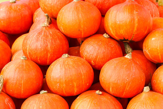 Pumpkins used as a background image
