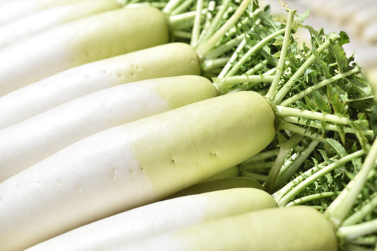 大根 の画像 300 438 件の Stock 写真 ベクターおよびビデオ Adobe Stock