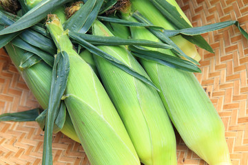 Fototapeta premium Fresh raw corns