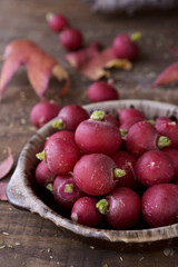 raw small european radishes