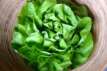Salatkopf im Korb