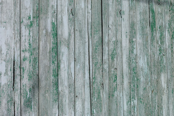 Wooden background texture green