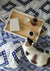 Breakfast in bed. The book, a jug and a cup of coffee on a wooden tray handmade. White cat on blue linen