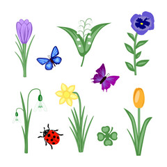 Frühling Blumen Set