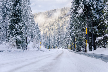 Fototapeta premium Icy Alpine Road through a Forest on a Cloudy Winter Day