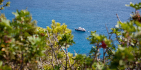 Obraz na płótnie Canvas Boat through the green branches and leaves. Yacht near ibiza coast. Luxury rest at Balearic Islands. Beautiful place for diving and swimming. Holidays and fishing in the Mediterranean.