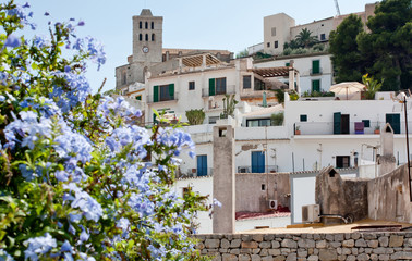 Old town with fortress in Ibiza, blossom tree on the foreground. Popular touristic route. Architecture of Balearic Islands.
