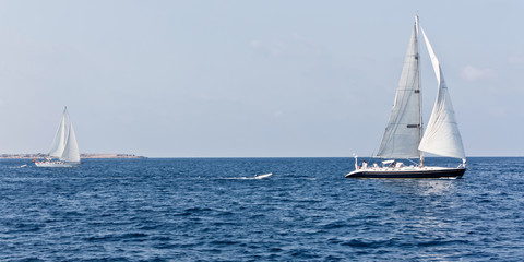 Travelling on sailboat in the Mediterranean. Sailboat competition. Symbol of freedom and dream. Sailboat near Ibiza.