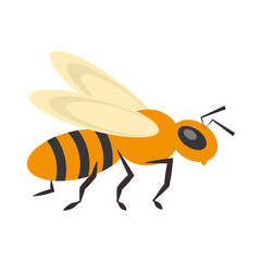 bee insect flower pollen vector illustration eps 10