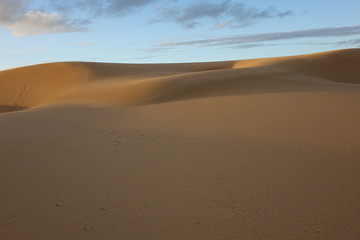 The natural Park in Corralejo the canary-islands Spain