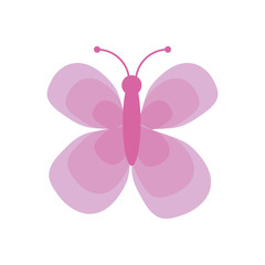 cute pink butterfly insect vector illustration eps 10