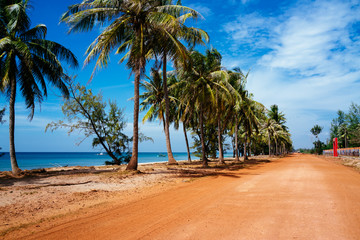 Sand road with palm trees