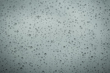 rain droplets in a window glass