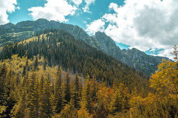 Mountains landscape with colorful forest