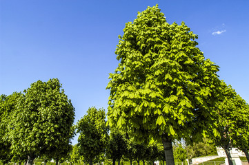 Alley at Upper Belvedere in Vienna, Austria, Vienna, 3. district