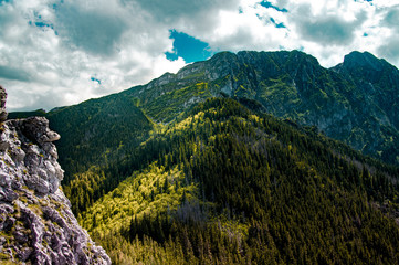 Obraz premium Mountains landscape with colorful forest