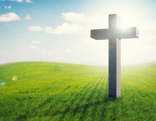 Cross in a field