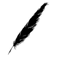 Silhouette black and white monochrome feather isolated vector