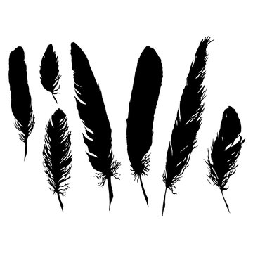Silhouette black and white monochrome feather set isolated vector