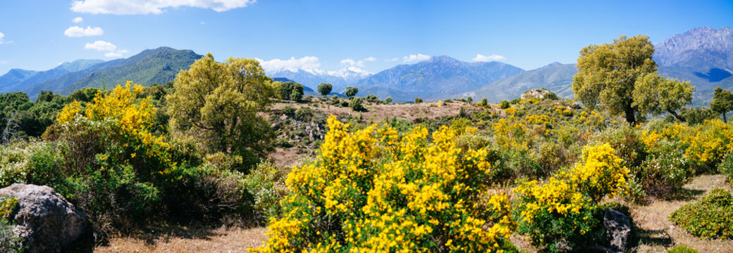 Landscape of corsica