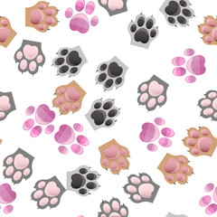 Fototapeta premium cat and dog paw print with claws