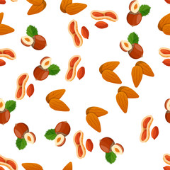 illustration of nuts