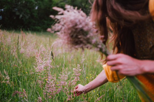 Woman picking the flowers