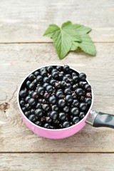 black currant berries