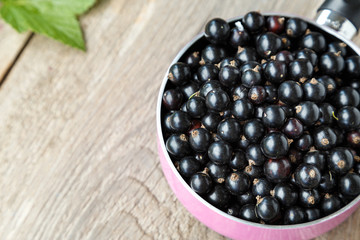 black currant berries