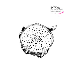 Vector hand drawn set of exotic fruits. Isolated pitaya. Engraved art dragon fruit. Delicious tropical vegetarian objects., smoothie bowls.