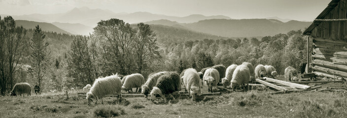 spirit of antiquity in the mountains