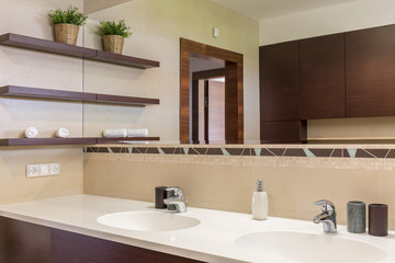 Elegant bathroom interior