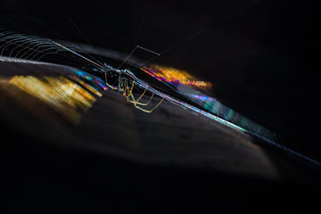 Rainbow Spider Web