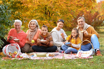 big happy family on picnic 