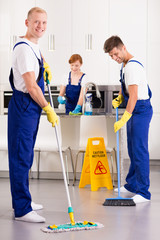 Professional cleaners in the kitchen