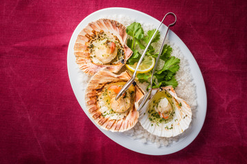 Detail of seafood entree, shells on white plate, dark red in the background
