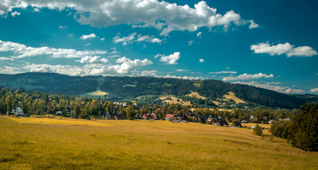 Fototapeta premium Autumn forest with sunny rays