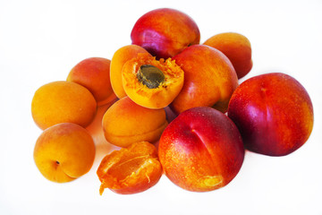 Fototapeta na wymiar nectarines and apricots on a white background
