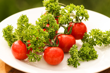 Obraz na płótnie Canvas Cherry tomatoes with curled parsley in white plate close up