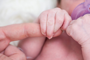 Baby Händchen hält Mamas Finger - obrazy, fototapety, plakaty