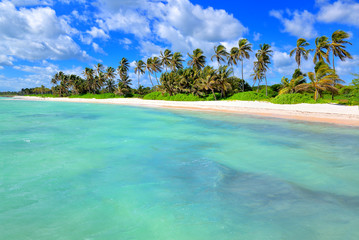 Tropical white sandy beach with palm trees. Punta Cana, Dominican Republic
