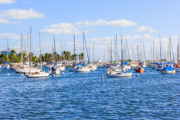 Obraz premium Coconut grove marina in south miami florida in blue sky background
