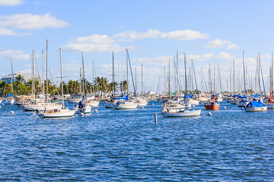 Fototapeta Coconut grove marina in south miami florida in blue sky background
