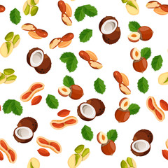 illustration of nuts