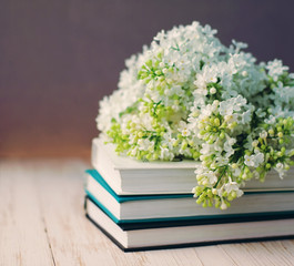 Bouquet of a white lilac on the books on the wooden surface, soft focus.