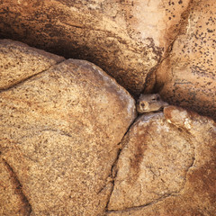 Do you see a gopher? But it exists!