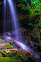 Waterfall in deep forest, where there is an abundance of nature.