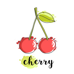 cherries, isolated vector illustration