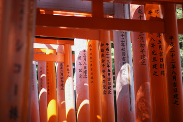 Red torii gate at Fushimi Inari in Kyoto, Japan. At the gates of Buddhist sutras, the sacred religious texts.